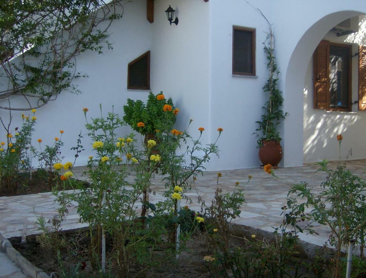 Hippocampus Studios Antiparos Town المظهر الخارجي الصورة