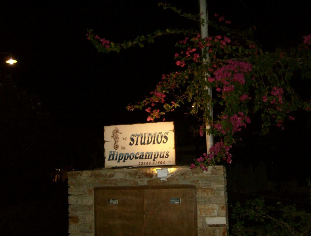 Hippocampus Studios Antiparos Town المظهر الخارجي الصورة